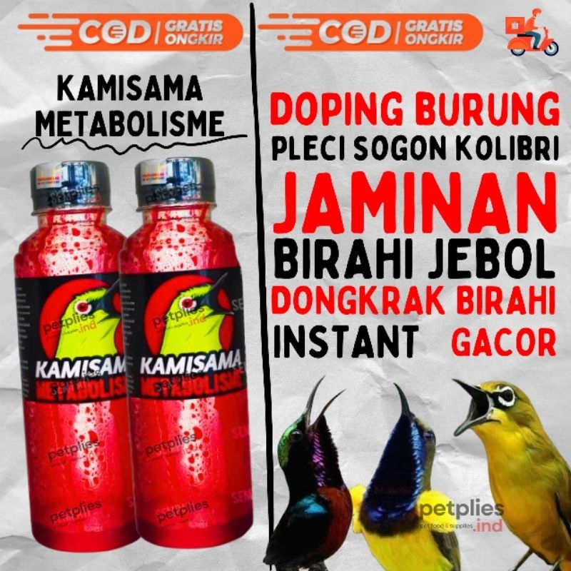 KAMISAMA METABOLISME PLECI - KAMISAMA DOPING BURUNG PLECI KONIN SOGON JEBOL BIRAHI VITAMIN DEXTRO 87