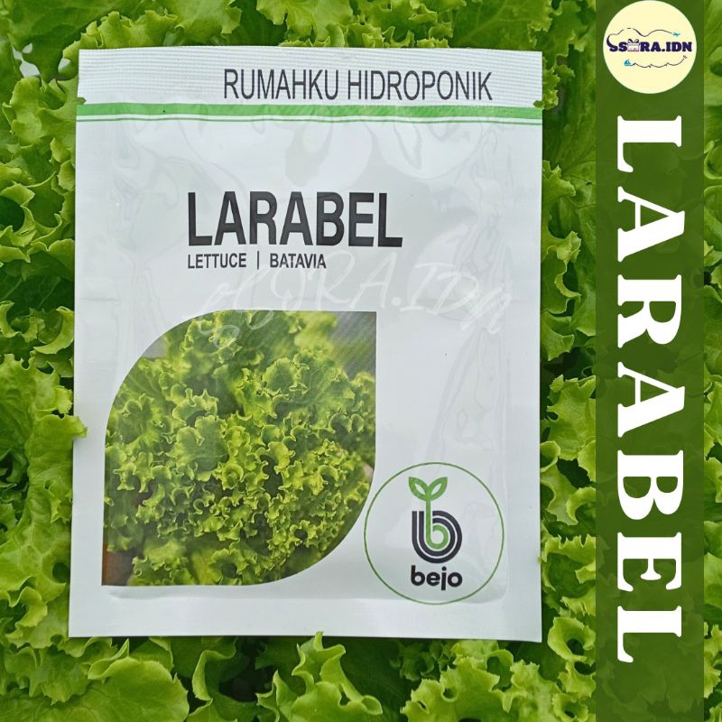 [PROMO] BENIH SELADA BATAVIA LARABEL 1000 PILL BEJO SEED