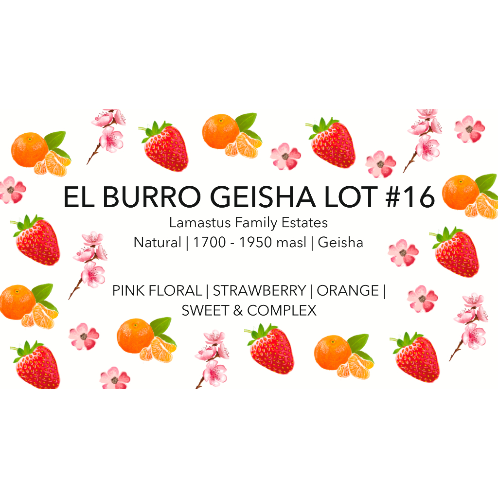 

Panama El Burro Lot #16 - Geisha - Natural - Lamastus Family - Hana Roastery