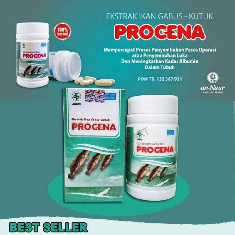 KAPSUL PROCENA ASLI ORIGINAL-KAPSUL EXTRAK IKAN GABUS-OBAT PENGERING LUKA