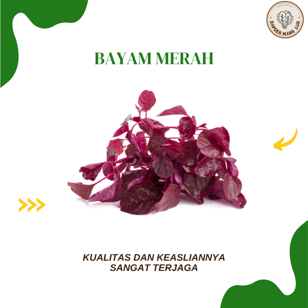 

EKSTRAK BAYAM MERAH BEST SELLER