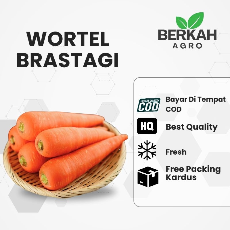 

Wortel Brastagi 1kg Wortel Manis Brastagi 1kg Fresh