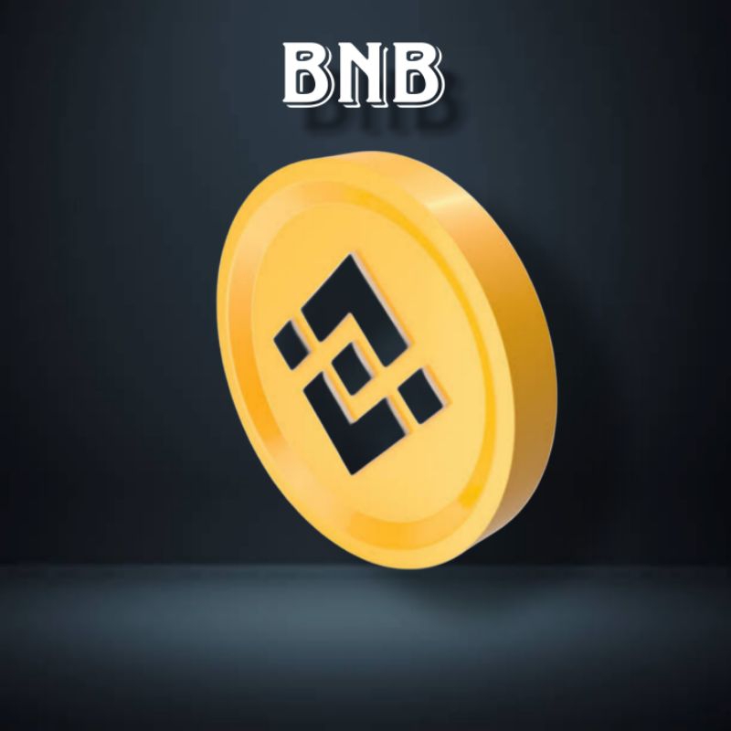 BNB/BSC Crypto | Eceran