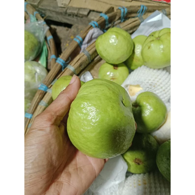 

jambu kristal kriuk 1kg mang sayur