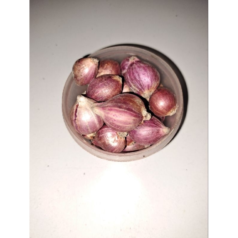 

Bawang Merah Nganjuk 1kg