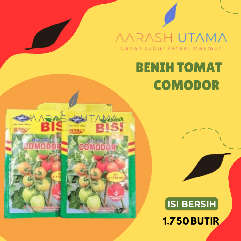 Benih Tomat Comodor 5 gram 1.750 butir  | Benih Tomat Comodor Cap Kapal Terbang