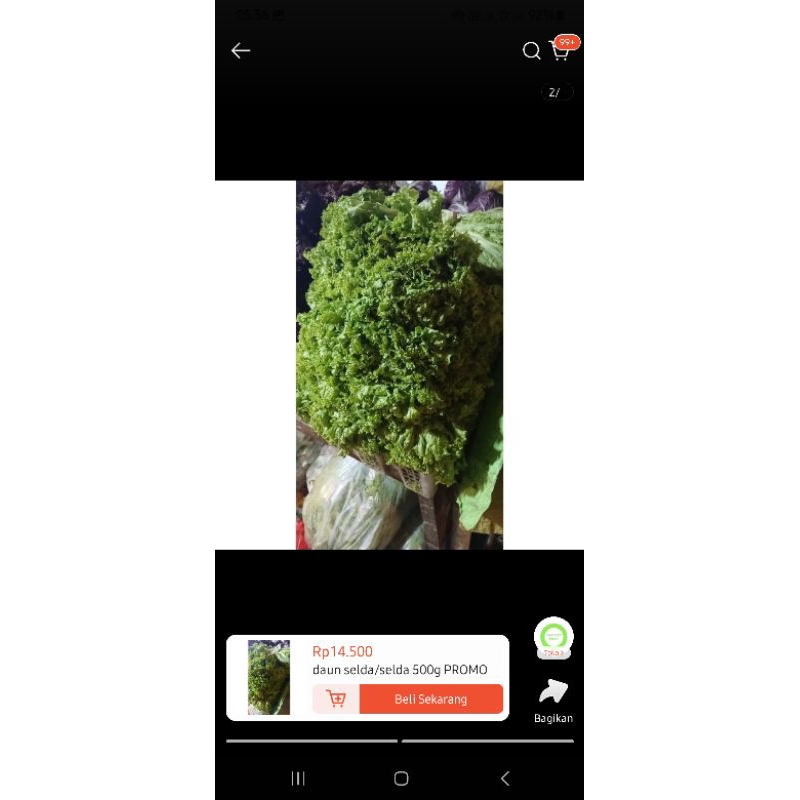 

selada/selda ijo/daun selda 1 kg PROMO