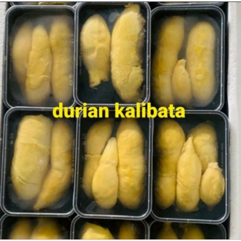 

Durian Montong Palu Parigi |BEST SELLER|