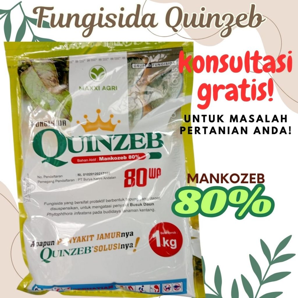 QUINZEB Fungisida Obat Jamur Untuk Tanaman Seperti Cabe