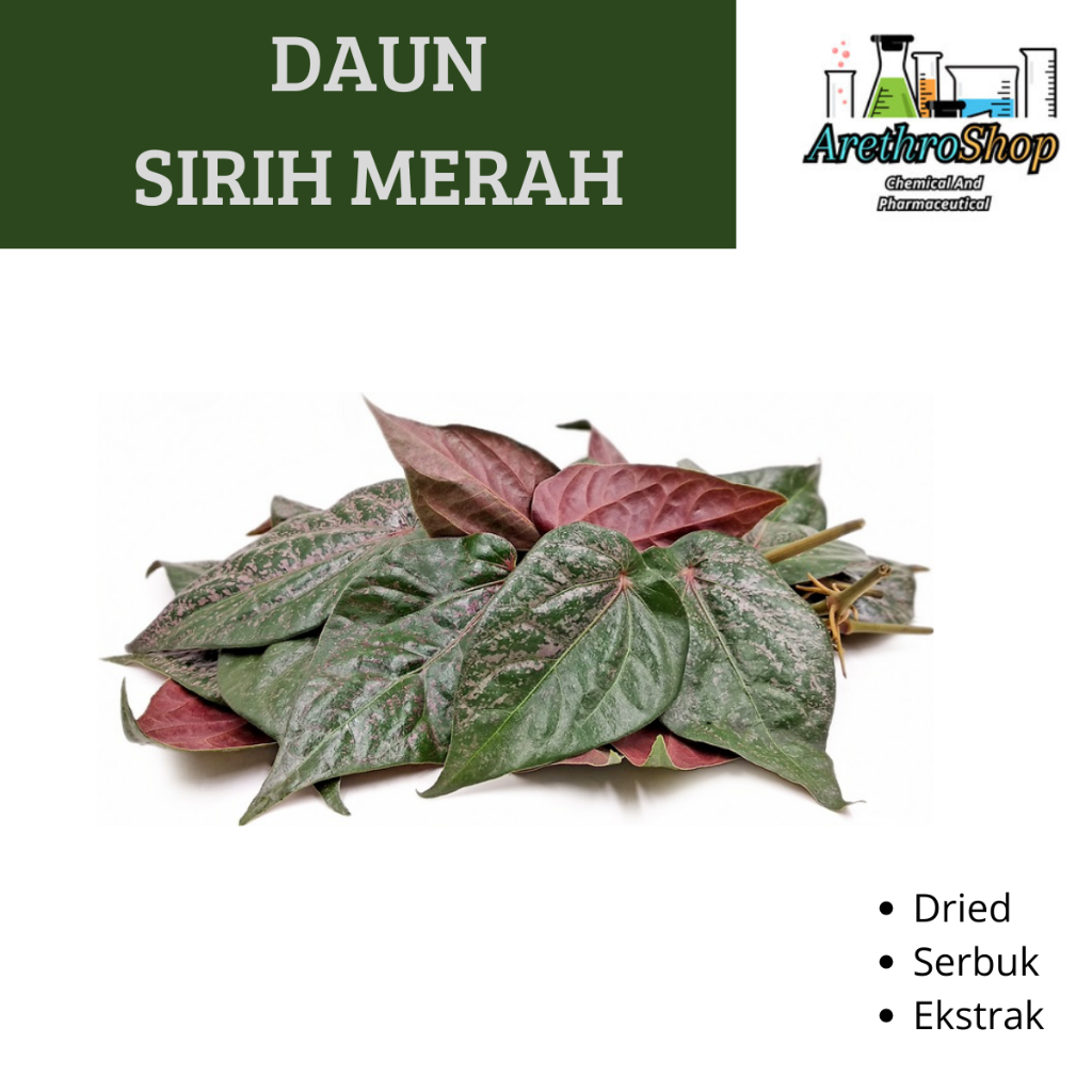 

EKSTRAK DAUN SIRIH MERAH 10 GRAM BEST PRODUCT