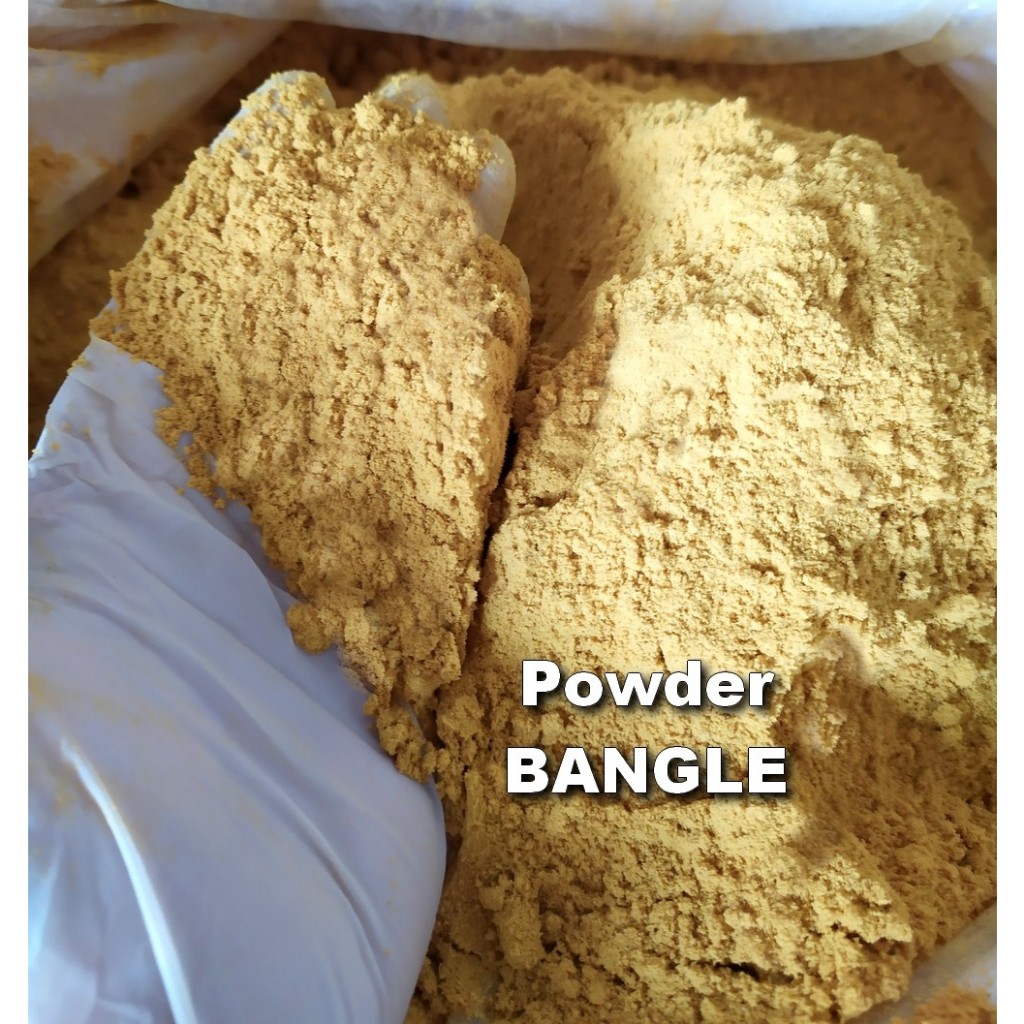 

Bubuk Bangle murni 1kg