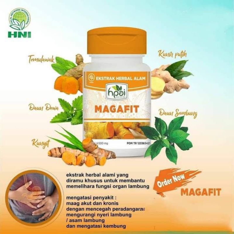 

asam lambung, maagh-Magafit HNI