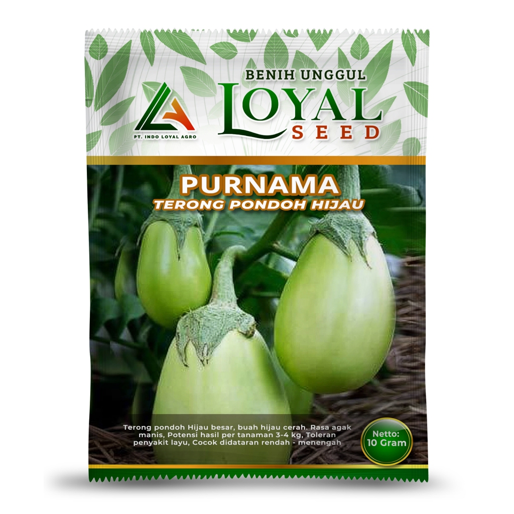 BENIH TERONG PONDOH HIJAU UNGGUL PURNAMA 10 GRAM CAP LOYAL SEED