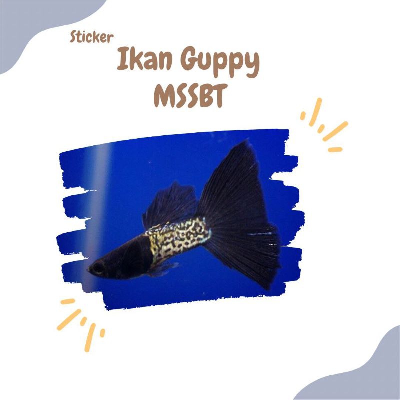 STICKER IKAN GUPPY MSSBT