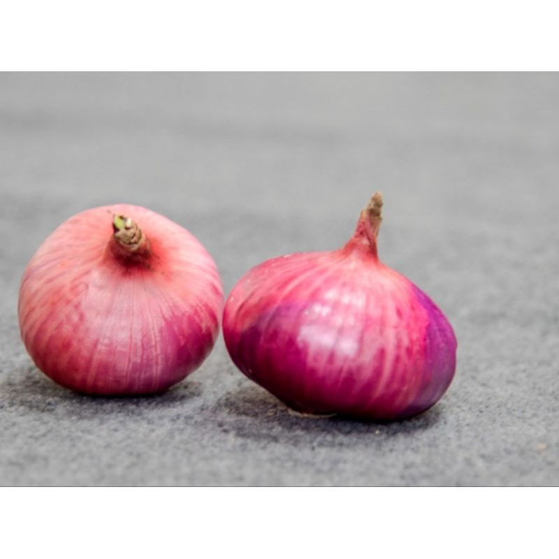 

bawang merah super