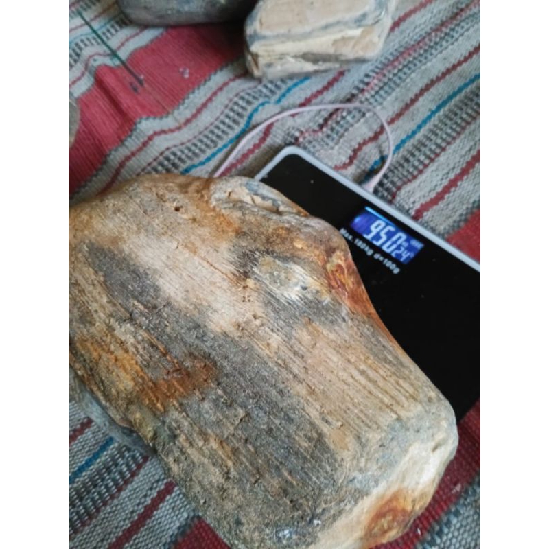 

Posil Pohon Dewa berat 9kg hrga 400k