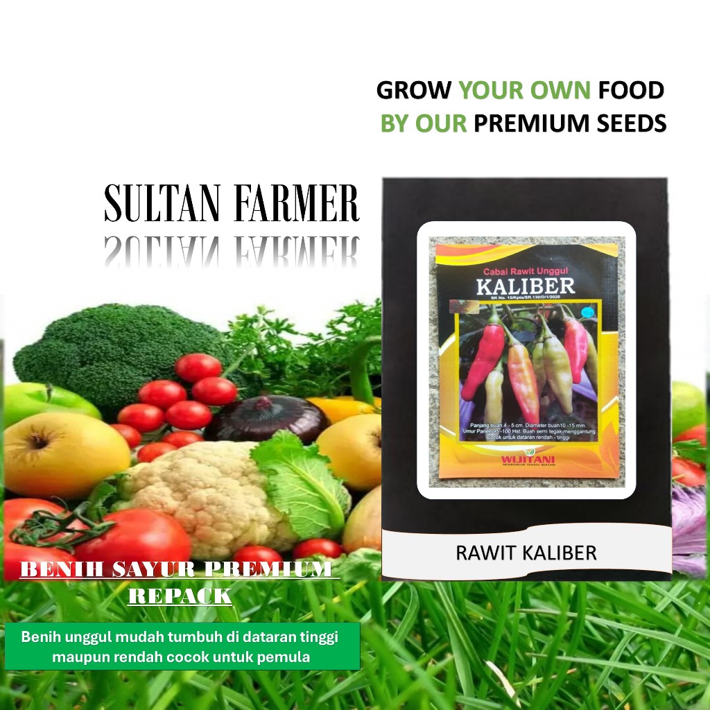 20 Biji Benih Cabe Rawit KALIBER jaminan ori dan lagi viral -Sfseeds