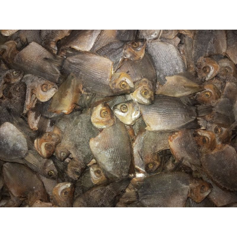 

ikan asin tembakang 250gram-1kg