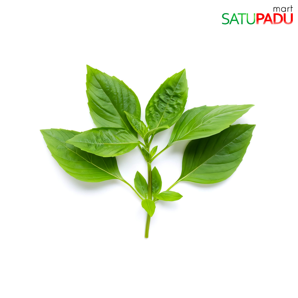 

satupadumart - Daun Kemangi Segar Aromatik / Daun Surawung Segar Per Ikat