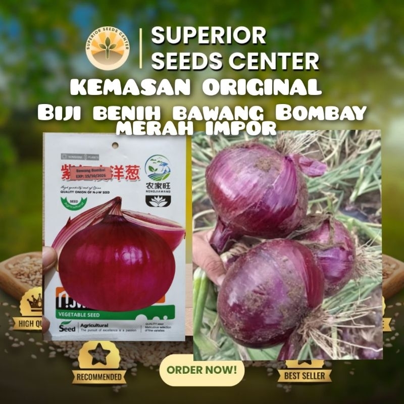 KEMASAN ORIGINAL BIJI BENIH BAWANG BOMBAY MERAH JUMBO IMPOR