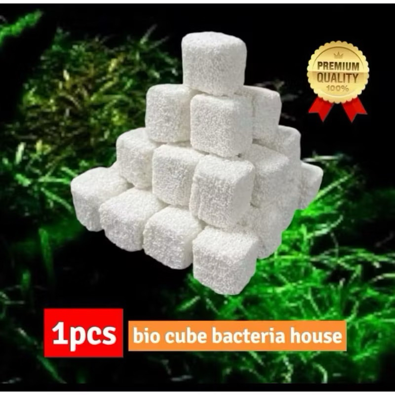 media filter rumah bakteri Bio eco cube