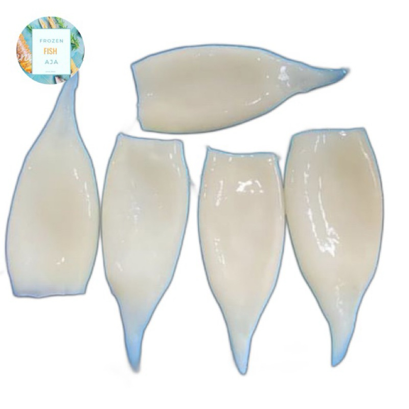 

Cumi Tube Kupas Bersih Segar Frozen 1 Kg