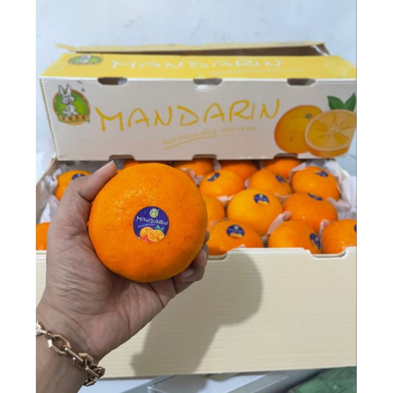

Jeruk Wogan Mandarin