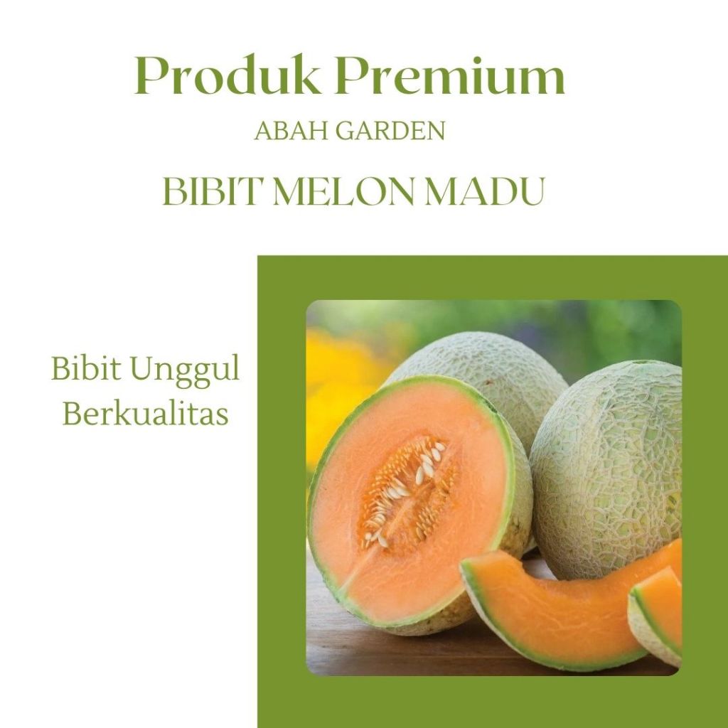 

Benih Buah Melon Madu Bibit Benih Melon Madu Bibit Unggul