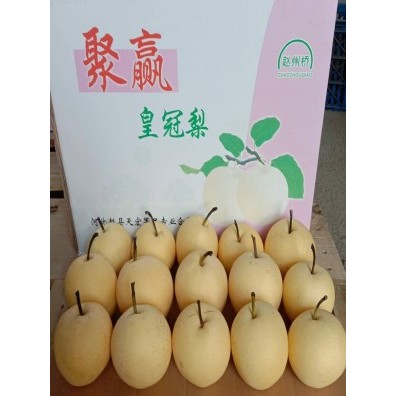 

1 Kg Pear Century Garing Manis