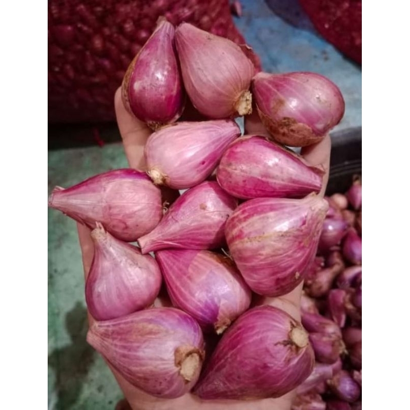 

Bawang merah 500gr