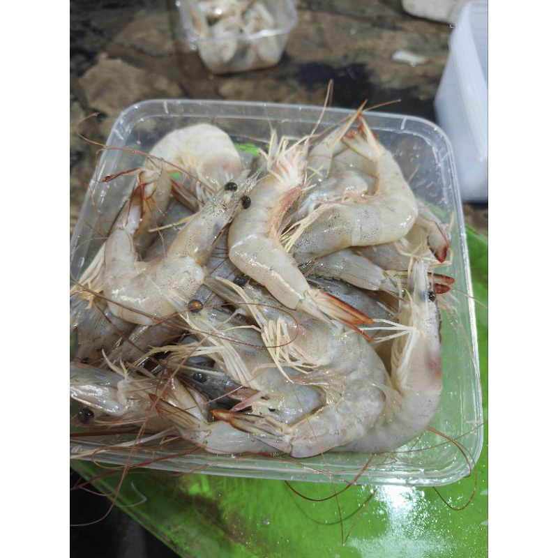 

udang s.30. 1kg isi 30 ekor