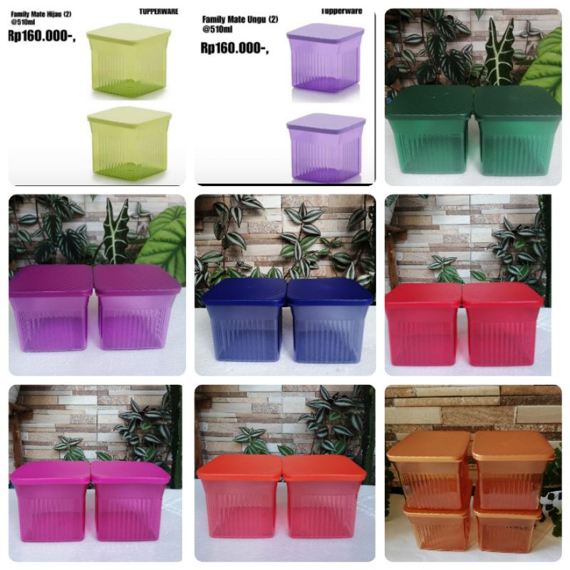 Family mate square small tupperware (2)