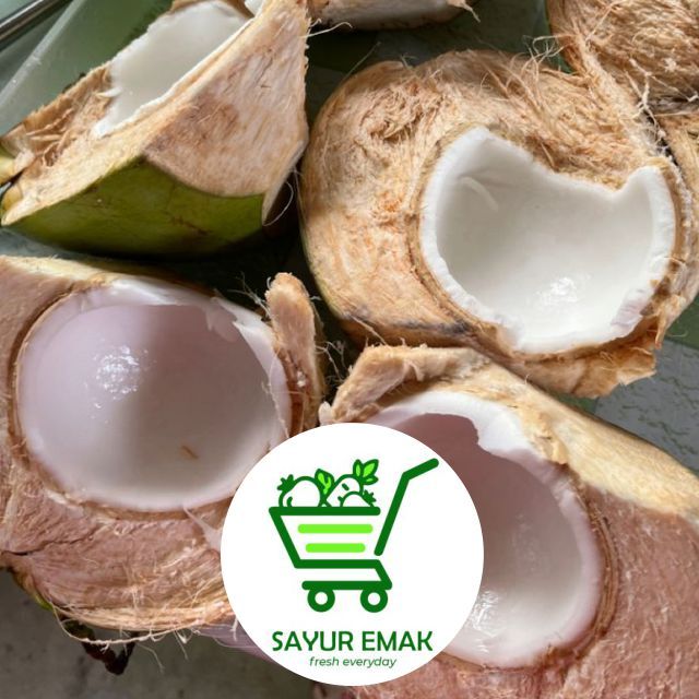 

Kelapa muda 1 buah segar cocok untuk di konsumsi