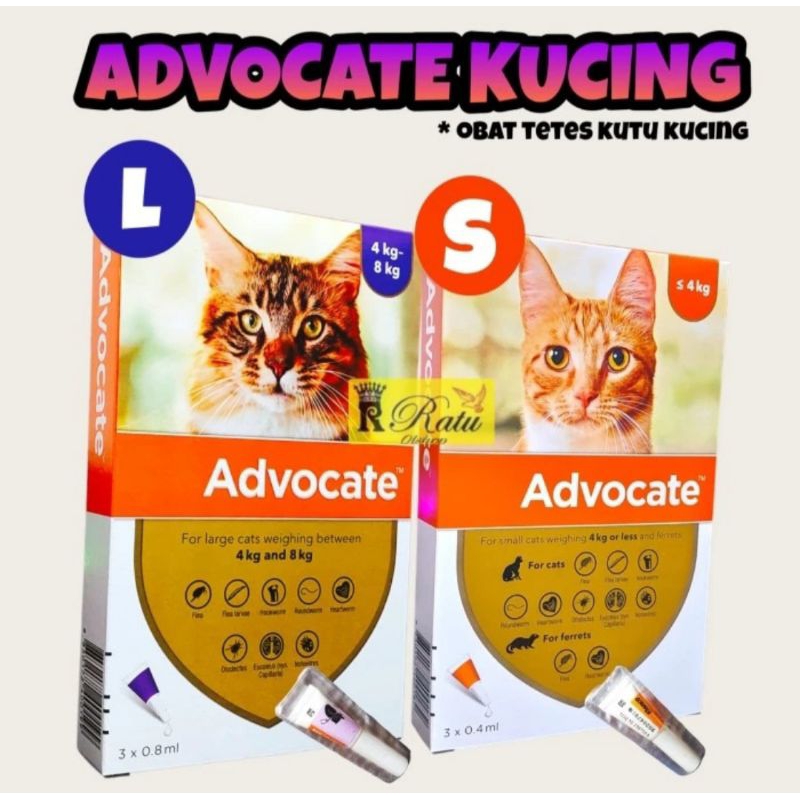 ADVOCATE Kucing Obat Kutu Kucing Advocate Smal & Large