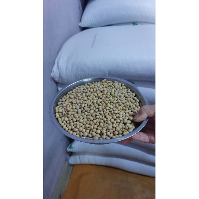 

Kedelai merek Bola 1 Kg untuk membuat tahu, tempe, dan susu kedelai