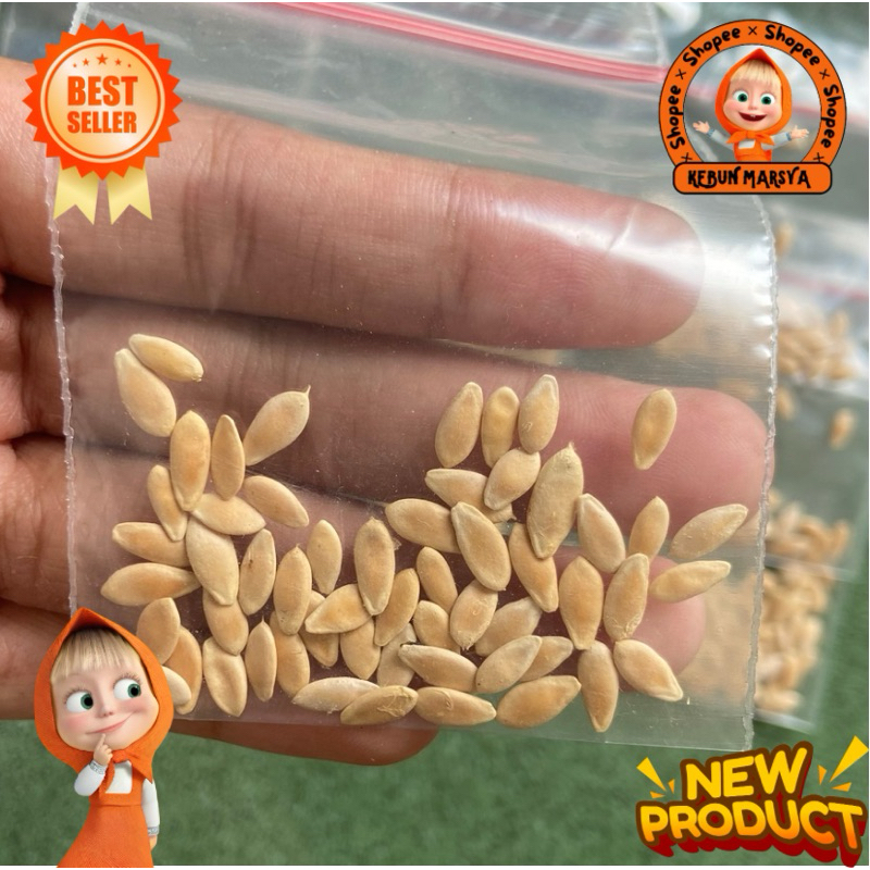 

Bibit Timun Suri Mix || Benih Timun Suri Mix Berkualitas