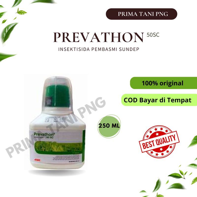 Prevathon 50SC 250ml / Insektisida prevathon 250Ml ASLI