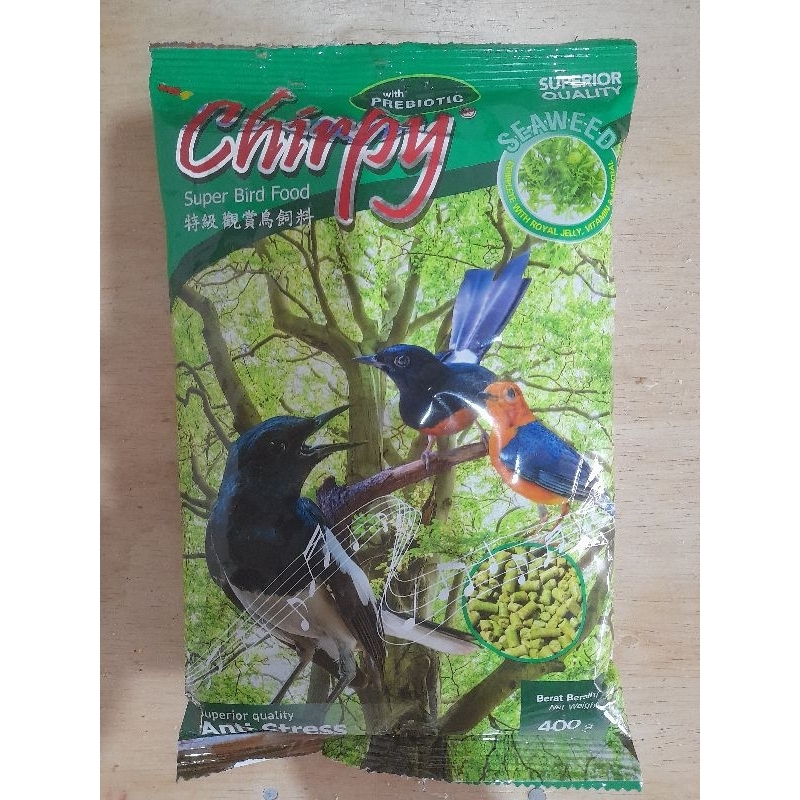 CHIRPY PAKAN BURUNG KACER, MURAI