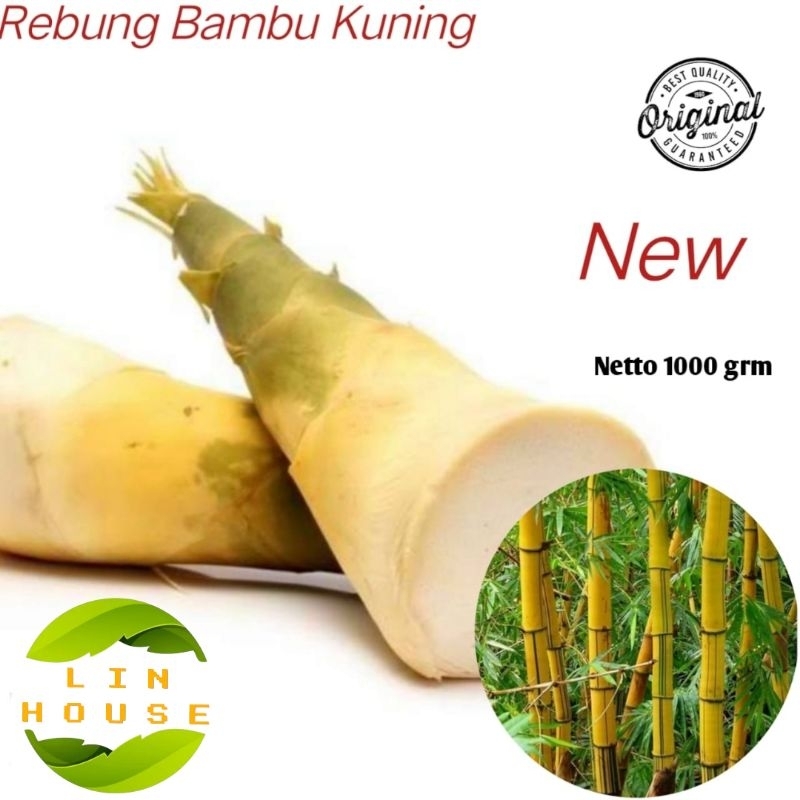 

Rebung Sayur Bambu Kuning Muda Original Kemasan 500 Gr