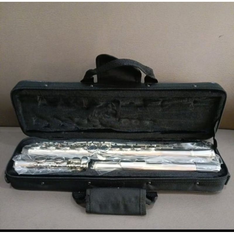 flute merk Paladin silver free hardcase , Closed hole Paladin Original