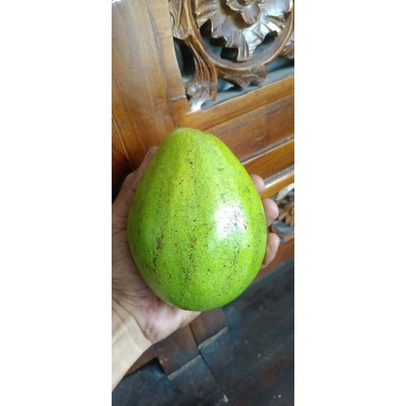 

ALPOKAT 2KG