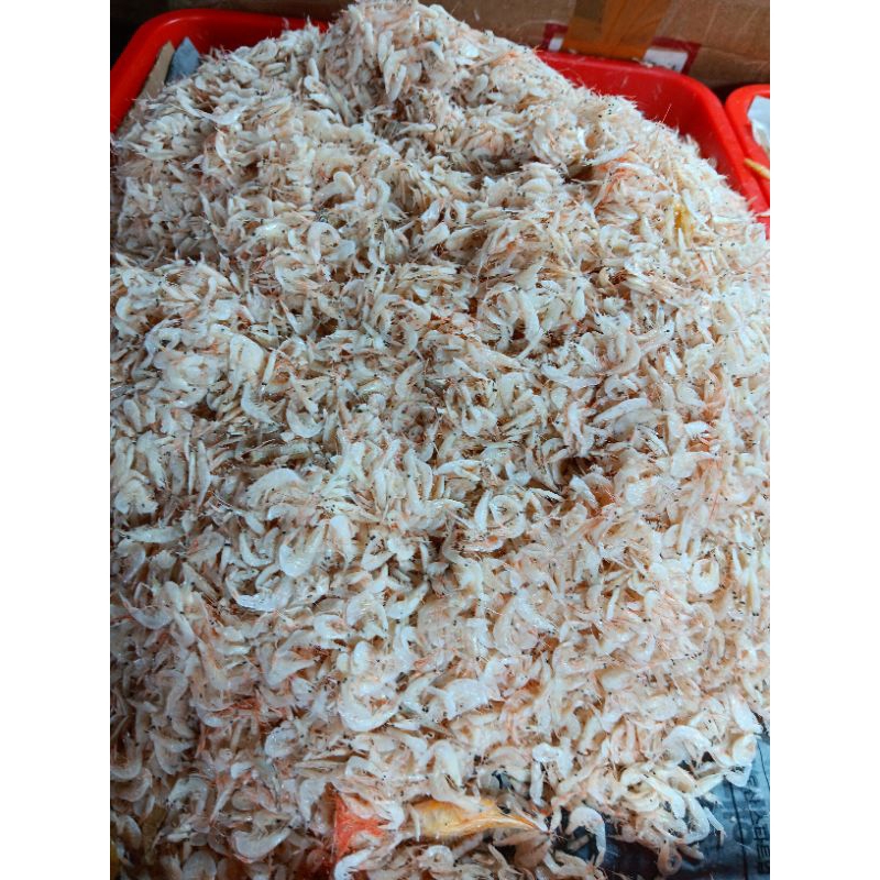 

ikan asin rebon 250gr