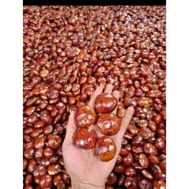 

PROMO JENGKOL FULL TUA Kemasan 1kg