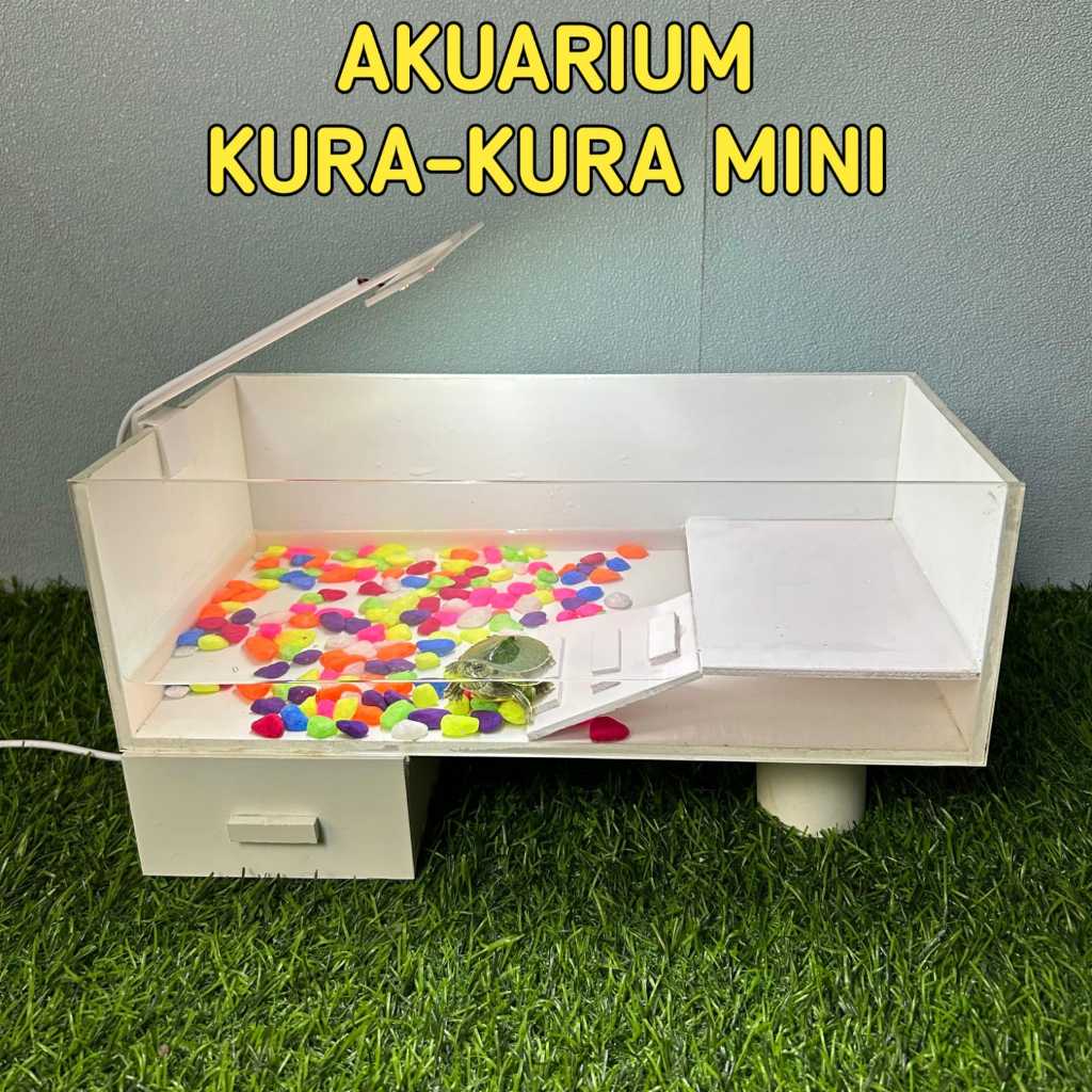 AKUARIUM KURA-KURA MINI WADAH KURA KURA BRAZIL