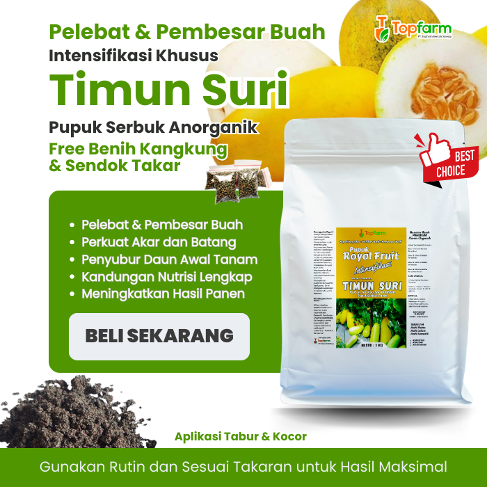 Pupuk Pelebat Buah Timun Suri / Pupuk Timun Suri Terbaik / Pupuk Booster Timun Suri Cepat Berbuah