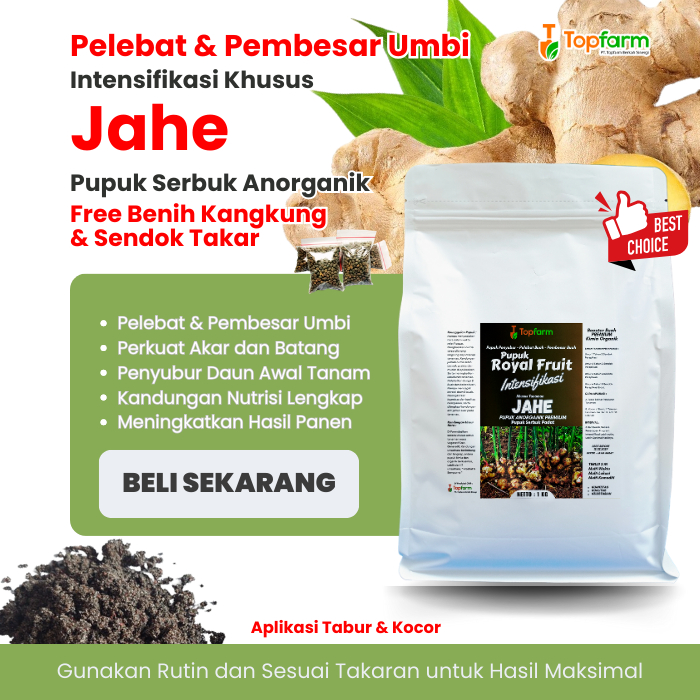 Pupuk Khusus Tanaman Jahe Terbaik / Pupuk Jahe Merah / Pupuk Jahe Booster / Pupuk Jahe Terbaik
