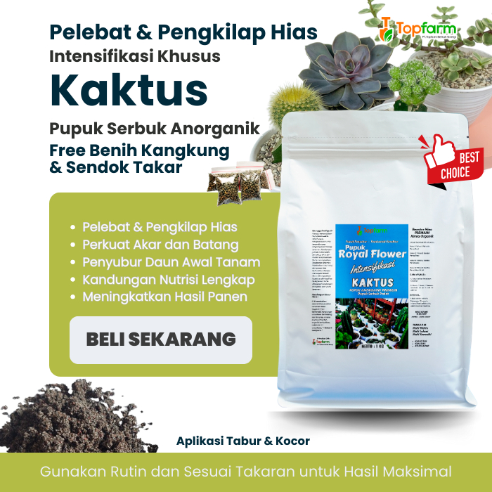 Pupuk Kaktus dan Sukulen / Pupuk untuk Kaktus Sukulen / Pupuk Kaktus Terbaik / Pupuk Kaktus Sukulen