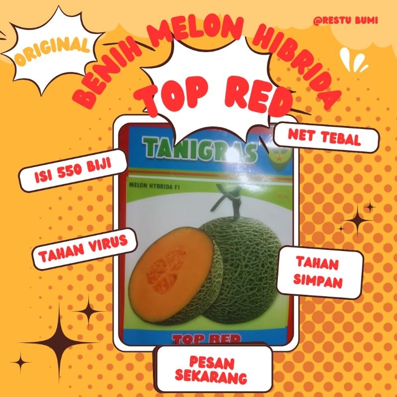 Benih Rock melon TOP RED. Original Asli Benih melon hibrida TOP RED Isi 550 biji Tanigrass
