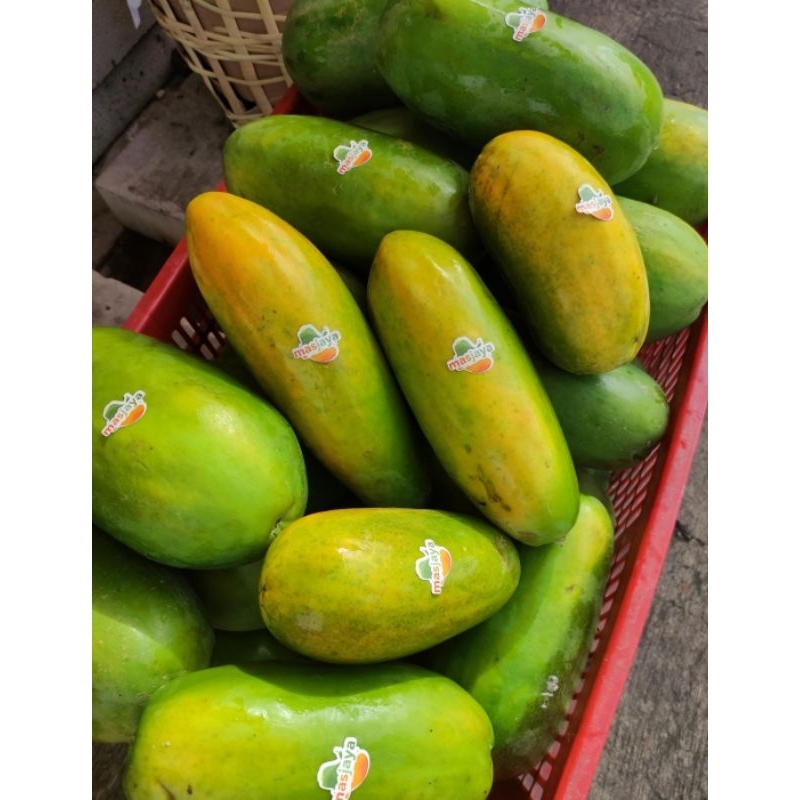 

PEPAYA CALIFORNIA