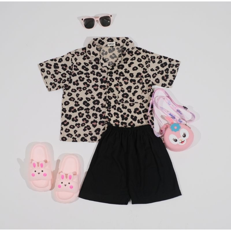 MOLY SETELAN PIYAMA ANAK BERKERAH UNISEX CELANA PENDEK PREMIUM